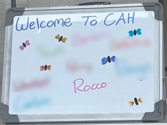 A whiteboard reading Welcome To CAH with Rocco&rsquo;s name written on it; other pets&rsquo; names are blurred